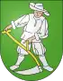 Blason de Madiswil