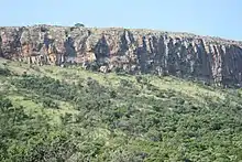Photo d'une biome de la chaine montagneuse du Magaliesberg, en Afrique du Sud.