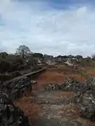 Palais Husuni Mkubwa - Ruines de la salle d'audience du tribunal du sultan de Kilwa.