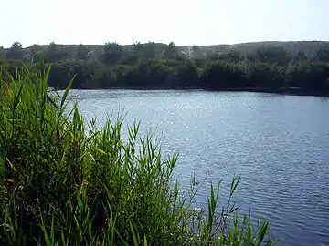 Petit étang de la Malloueyre