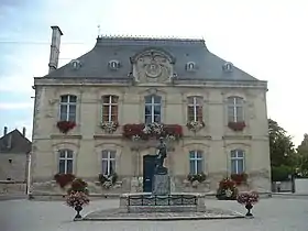 Statue de Napoléon et hôtel de ville