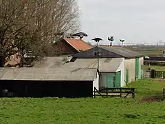 La maison aux avions d'Arthur Vanabelle (Steenwerck)