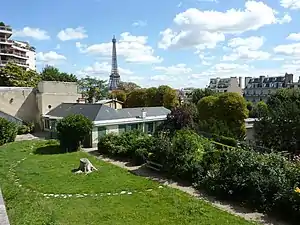 Le jardin en été.