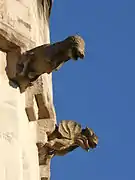 Gargouilles de la tour d'escalier.