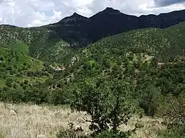 Cumbres de Majalca