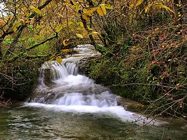 Cascade sur le ruisseau de Malans au niveau du moulin Barberot.