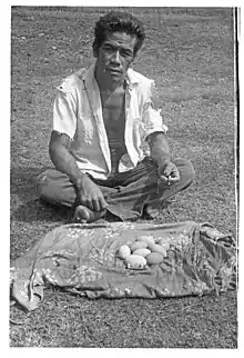 Photo en noir et blanc montrant un homme et les œufs du  mégapode de Pritchard recueillis à Vai Lahi, sur l'île de Niuafoʻou en 1967.