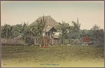 Kampung malais à Singapour vers 1907