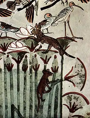 Détail d'un papyrus, avec un chat volant les œufs des oiseaux aquatiques. De la tombe de Menna, plâtre peint, première moitié du XIVe siècle avant J.-C., Thèbes.