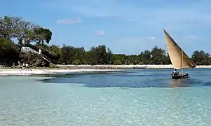 Vue du Malindi Marine National Park.