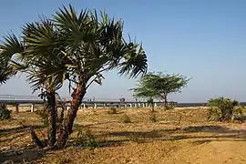 Paysage de l'arrière-pays.