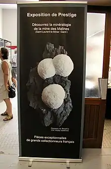 Affiche de l'exposition de prestige en 2019.