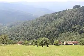 Gornji Lajkovac