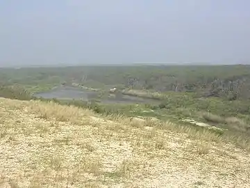 Petit étang de la Malloueyre en direction du nord, vu de l'observatoire sur la dune