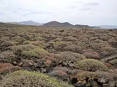 Malpais au nord d'El Golfo.