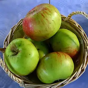 Pommes « Jacques Lebel »