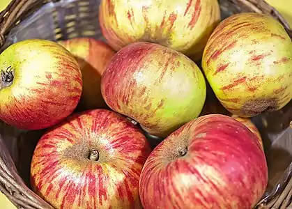 Pommes « Jacques Lebel »