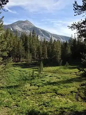 Mammoth Peak, sommet de la Sierra Nevada, dans le parc national de Yosemite.