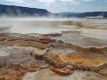 Vasques calcaires des Mammoth Hot Springs