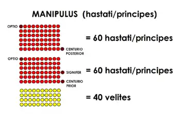 Un manipule standard, composé de deux centuries de hastati ou de principes, et d'un groupe de javeliniers légers (les vélites)