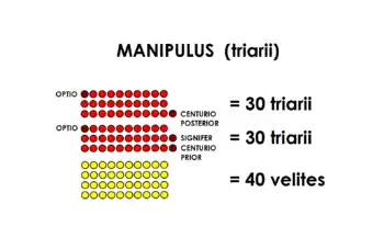 Un manipule de triaires, composé de deux centuries de 30 triaires et d'un groupe de 40 javeliniers.