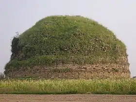 Image illustrative de l’article Stupa de Mankiala