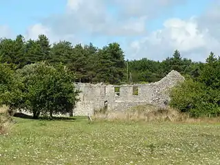 Ruines du manoir de Kersalio (XVe et XVIIIe siècles).