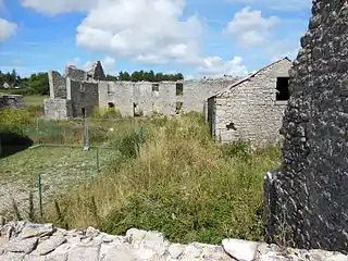 Ruines du château