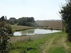 Lac surplombé par le château.