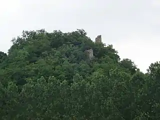 Ruines du château de Mantaille.