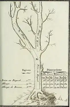 Louis Joseph Marie Achille Goujon, Des bois propres aux constructions navales, manuel à l'usage des agents forestiers et maritimes. Brion ou ringeot; allonge; allonge de revers