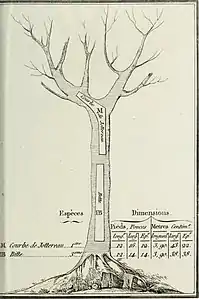 Courbe de jottereau, bitte