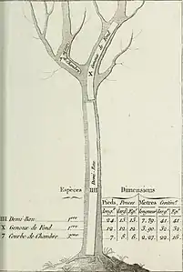 Demi-bau, Genoux de fond, Courbe de chambre