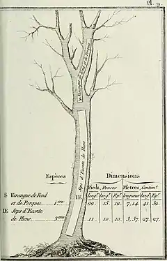 Varangue de fonds et de porques; Sep d'éconte de hune