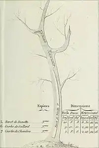 Barrot de dunette; Courbe de gaillard; Courbe de chambre