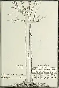 Courbe de Pont; Plançon