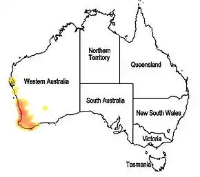 Description de l'image Map.Hemiandra pungens.jpg.