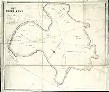 Carte d'un lac avec des lignes délimitant les différentes propriétés