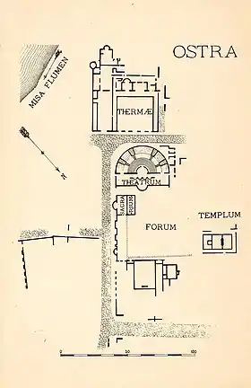 Image illustrative de l’article Ostra antica