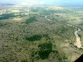 Réserve nationale du Masai Mara.