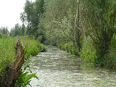 Le marais audomarois, près de Saint-Omer.