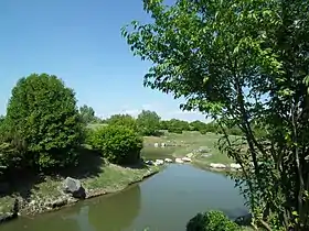 Photographie montrant un paysage plat, verdoyant et bordé d'arbres, avec un petit canal au premier plan