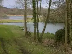 Les marais de la Maye à Bernay-en-Ponthieu.