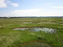 Marais avec un village en arrère plan