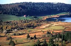 Marais et tourbière au sud du lac de Remoray.