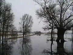 L'ancien port du Millau sur le marais de Goulaine submergé par de fortes eaux de pluie