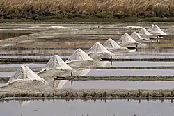 Marais salants sur l'île de Ré.