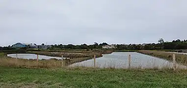 Marais salants de Saint-Hilaire-de-Riez.