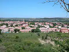 Vue depuis le Pech.