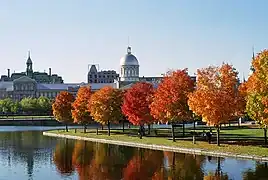 Couleurs en ville (Montréal).